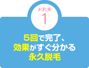 5回で完了、効果がすぐ分かる永久脱毛